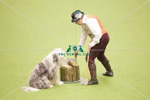 Crufts 2018