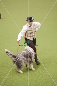Crufts 2018