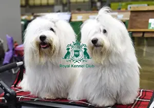 Crufts 2018