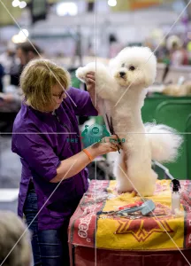 Crufts 2018 Crufts 2018