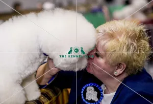 Crufts 2018