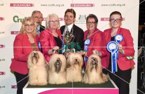 Crufts 2018