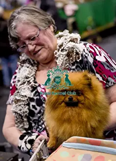 Crufts 2018