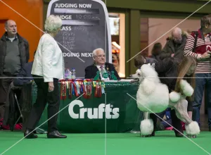 Crufts 2018