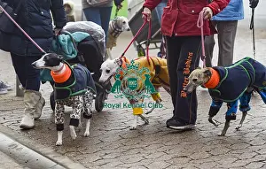 Crufts 2018
