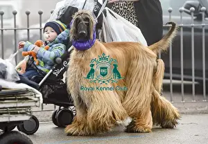 Crufts 2018