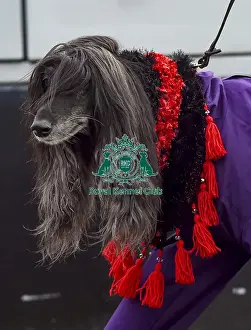 Crufts 2018