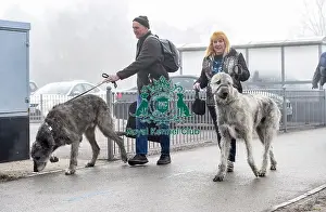 Crufts 2018