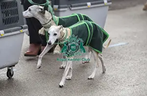 Crufts 2018