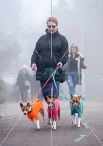 Crufts 2018