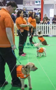 Crufts 2018