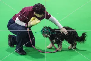 Crufts 2018