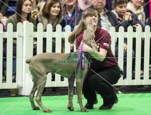 Crufts 2018
