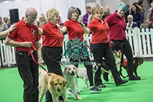 Crufts 2018