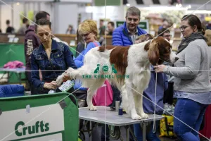 Crufts 2018