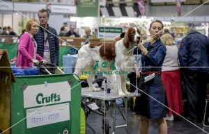 Crufts 2018