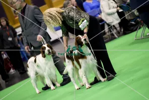 Crufts 2018
