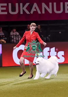 Crufts 2019 - Best in Show