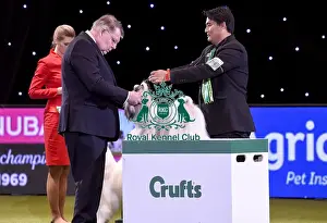 Crufts 2019 - Best in Show