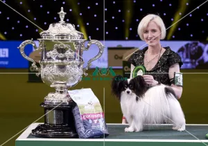 Crufts 2019 - Best in Show