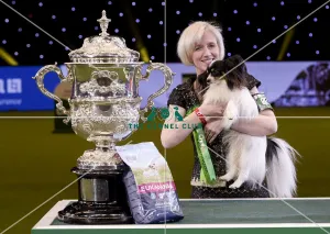 Crufts 2019 - Best in Show