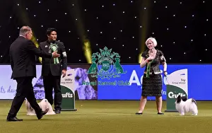 Crufts 2019 - Best in Show