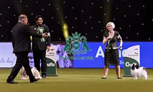 Crufts 2019 - Best in Show