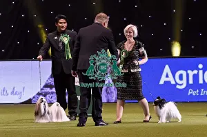 Crufts 2019 - Best in Show
