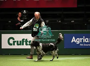 Crufts 2019 - Best of Breed