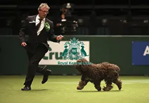 Crufts 2019 - Best of Breed