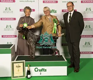 Crufts 2019 - Best of Breed
