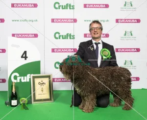 Gundog Group winner
