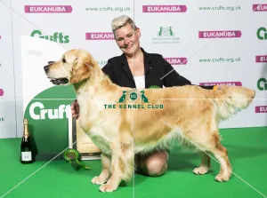 Gundog Group winner