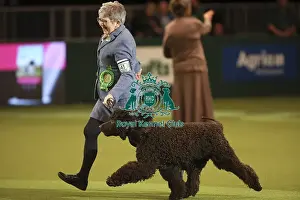 Crufts 2019 - Best of Breed