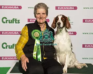 Crufts 2019 - Best of Breed / Gundog
