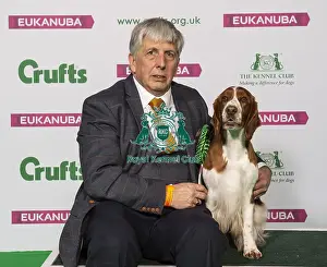 Crufts 2019 - Best of Breed / Gundog