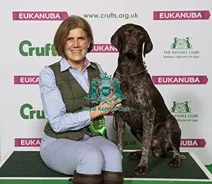 Crufts 2019 - Best of Breed / Gundog