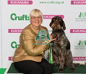 Crufts 2019 - Best of Breed / Gundog