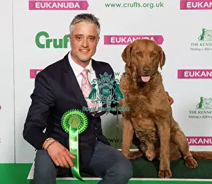 Crufts 2019 - Best of Breed / Gundog