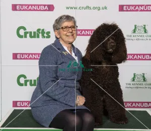 Gundog Group winner