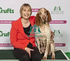 Crufts 2019 - Best of Breed / Gundog
