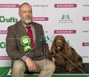 Crufts 2019 - Best of Breed / Gundog