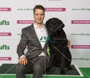 Crufts 2019 - Best of Breed / Gundog