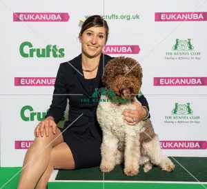 Crufts 2019 - Best of Breed / Gundog