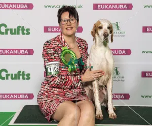 Crufts 2019 - Best of Breed / Gundog