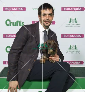 Crufts 2019 - Best of Breed / Hound