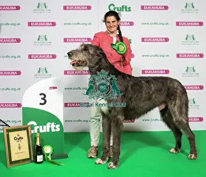 Crufts 2019 - Best of Breed / Hound