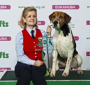 Crufts 2019 - Best of Breed / Hound