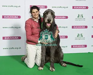 Crufts 2019 - Best of Breed / Hound