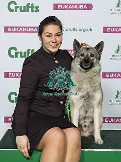 Crufts 2019 - Best of Breed / Hound